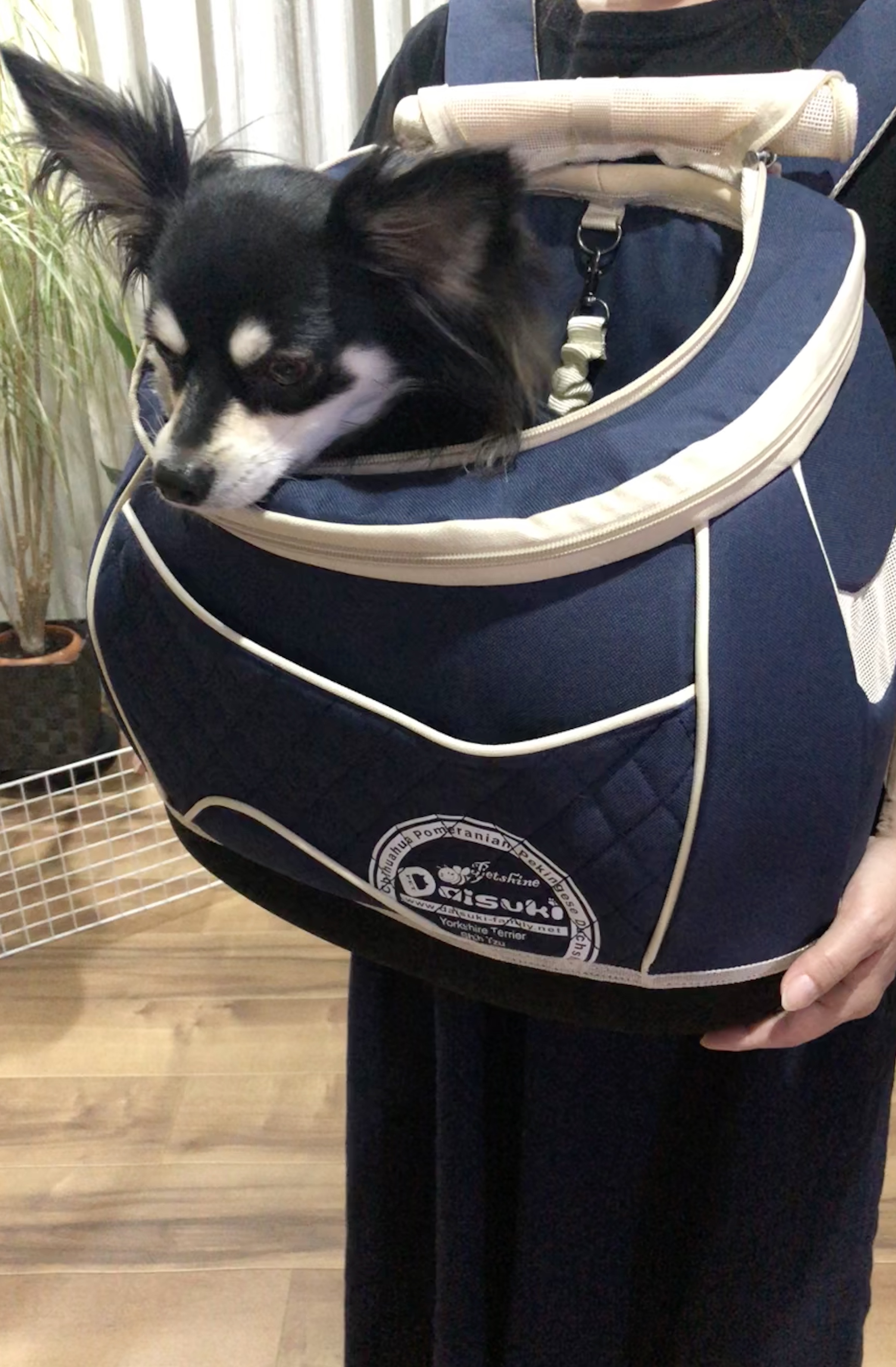 犬用 DAISUKIのリュック型3Wayキャリーバッグの購入レビュー
