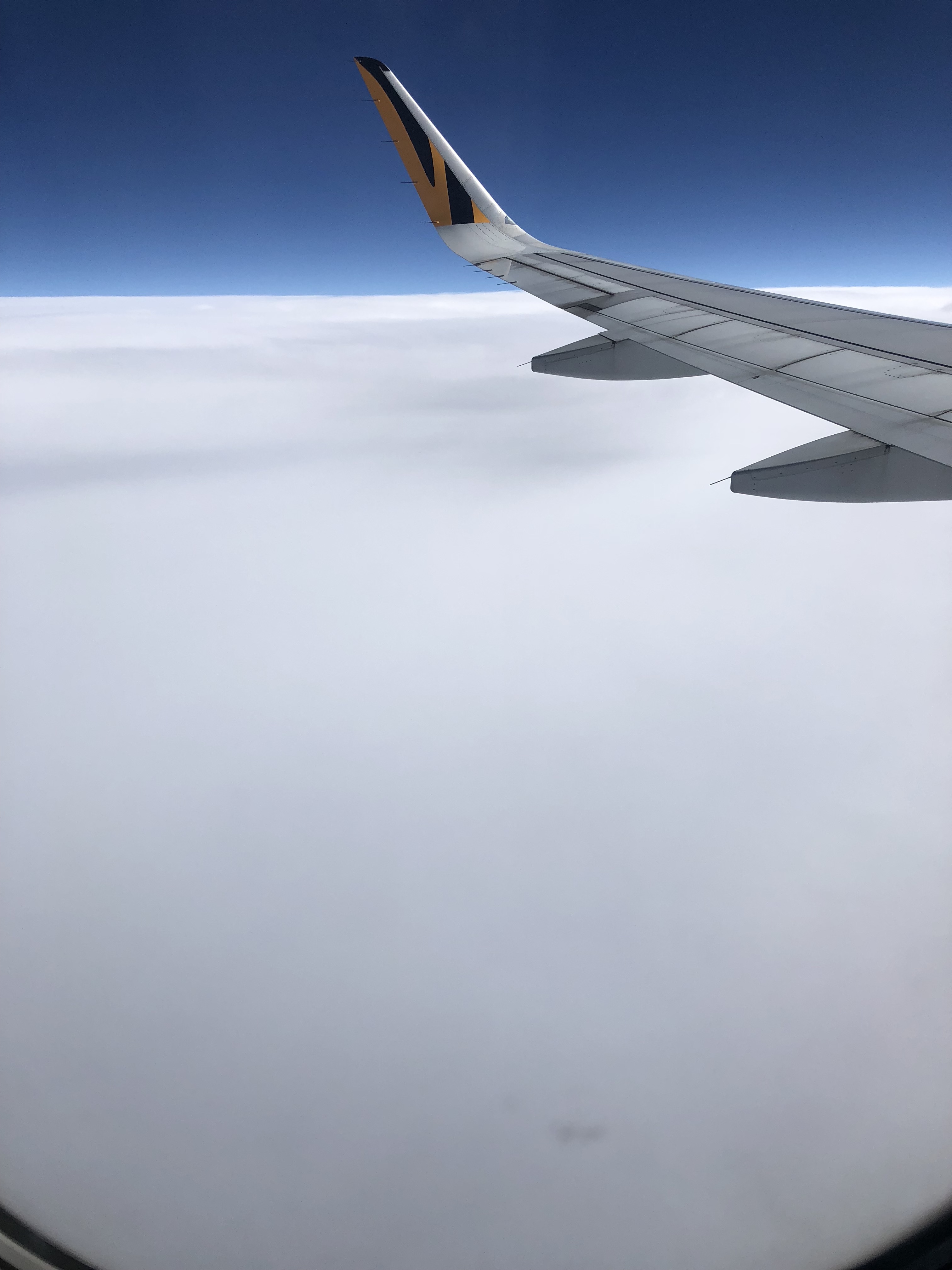 飛行機 雲の上